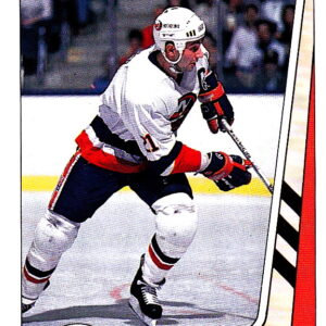 1989 PANINI #266-Brent Sutter