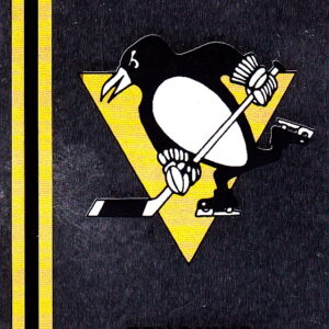 1989 PANINI #308- Logo