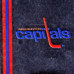 1989 PANINI #338- Logo