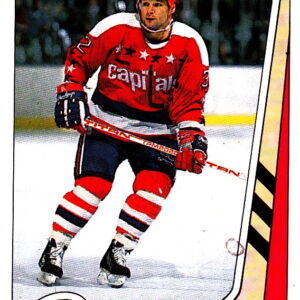 1989 PANINI #346-Dale Hunter