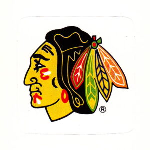 1989 PANINI #367- Logo