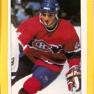 1991 PANINI Super #18-Stephane Richer
