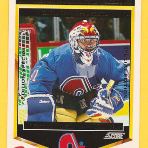 1993 PANINI Durivage #3-Jocelyn Thibault