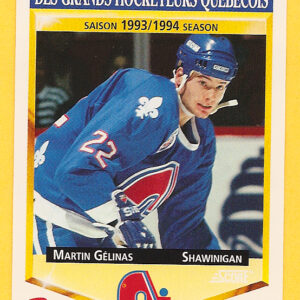 1993 PANINI Durivage #22-Martin Gelinas