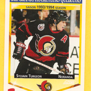 1993 PANINI Durivage #36-Sylvain Turgeon