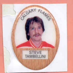 1983 Funmate Puffy #116-Steve Tambellini