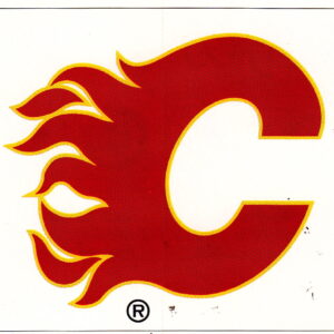 1991 PANINI Super #A- Flames Logo