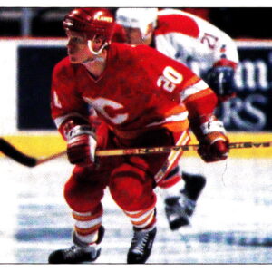 1991 PANINI Super #H-Gary Suter