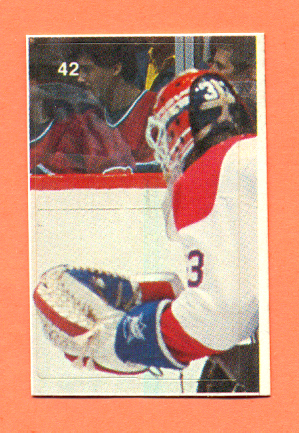 1987 Vachon Canadiens #42- Patrick Roy