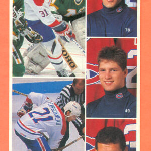 1987 Vachon Canadiens Panel #3 (5878)