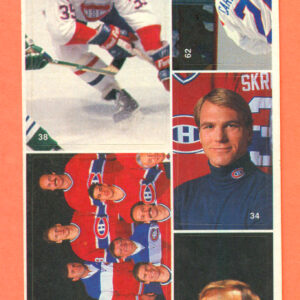1987 Vachon Canadiens Panel #5 (3862)