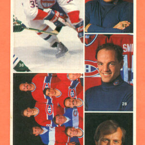 1987 Vachon Canadiens Panel #7 (3857)