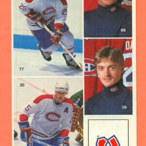 1987 Vachon Canadiens Panel #17 (7766)