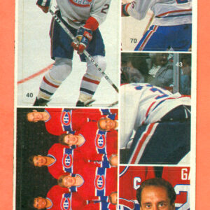 1987 Vachon Canadiens Panel #20 (4070)