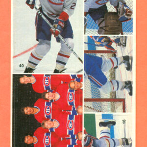 1987 Vachon Canadiens Panel #21 (4076)