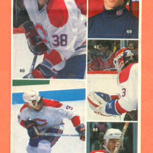 1987 Vachon Canadiens Panel #22 (6069)