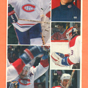 1987 Vachon Canadiens Panel #29 (5669)