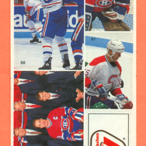 1987 Vachon Canadiens Panel #31 (5067)
