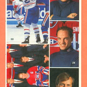 1987 Vachon Canadiens Panel #32 (5057)