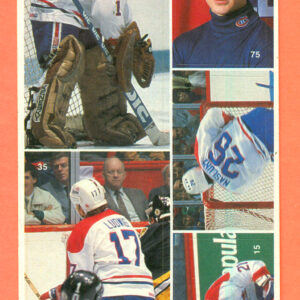 1987 Vachon Canadiens Panel #34 (8475)