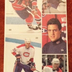 1987 Vachon Canadiens Panel #35 (6883)