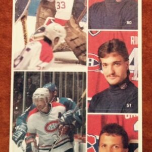 1987 Vachon Canadiens Panel #38 (7480)