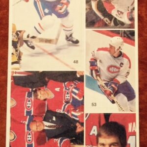 1987 Vachon Canadiens Panel #39 (4882)