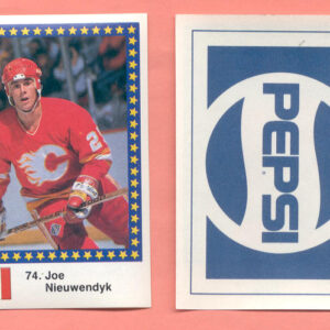 1989 Semic Sweden #74-Joe Nieuwendyk