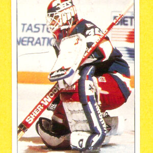 1991 PANINI Super #3-Stephane Beauregard