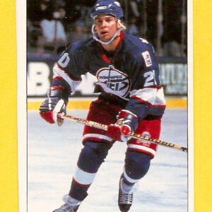 1991 PANINI Super #17-Dave McLlwain