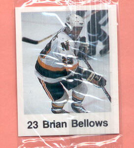 1988 Frito Lay  #3-Brian Bellows