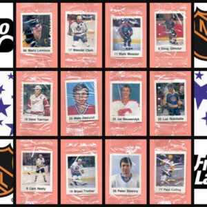1988 Frito Lay Chips NHL Hockey Sticker Set of 42
