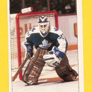 1991 PANINI Super #2-Allan Bester