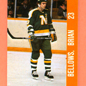 1983 Souhaits Renaissance Cards #117 North Stars- Brian Bellows