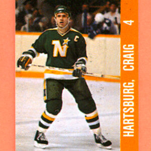 1983 Souhaits Renaissance Cards #123 North Stars- Craig Hartsburg