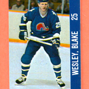1983 Souhaits Renaissance Cards #258 Nordiques- Blake Wesley