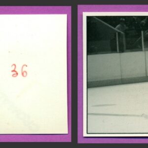 1987 PANINI 1 of 1 PROOF #36-Sylvain Turgeon