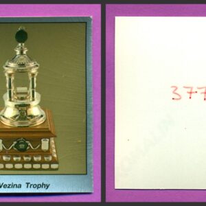 1987 PANINI 1 of 1 PROOF #377-Georges Vezina