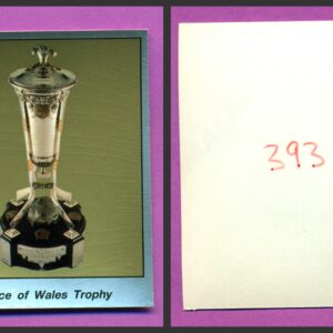 1987 PANINI 1 of 1 PROOF #393-Prince-of Wales