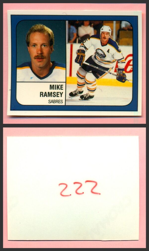 1988 PANINI 1 of 1 PROOF #222-Craig Ramsay - NHL Hockey Stickers