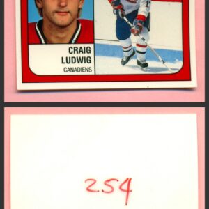1988 PANINI 1 of 1 PROOF #254-Craig Ludwig