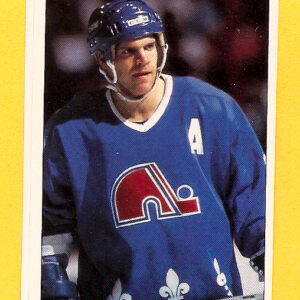 1991 PANINI Super #9-Mike Hough