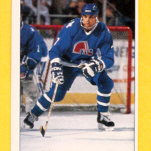 1991 PANINI Super #13-Curtis Leschyshyn