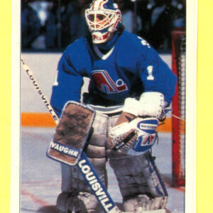 1991 PANINI Super #22-Ron Tugnutt