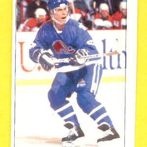 1991 PANINI Super #23-Randy Velischek