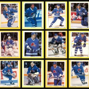 1991 Panini Quebec Nordiques NHL Hockey Stickers Super Set of 32 (2 Panels)