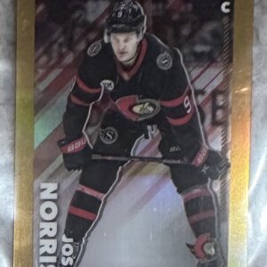 2022-23 TOPPS CHROME /50 GOLD Online Exclusive #354 - Josh Norris
