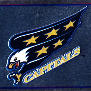 1995 PANINI  #142- Logo