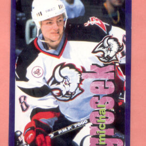 1998 PANINI #18-Michal Grosek