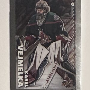 2022-23 TOPPS CHROME BASE Online Exclusive #28 - Karel Vejmelka